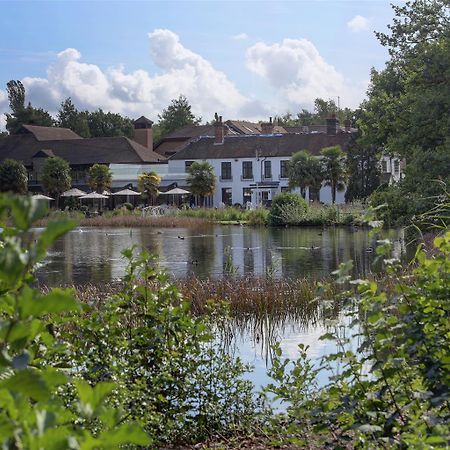 Frensham Pond Country House Hotel & Spa Farnham  Exteriör bild