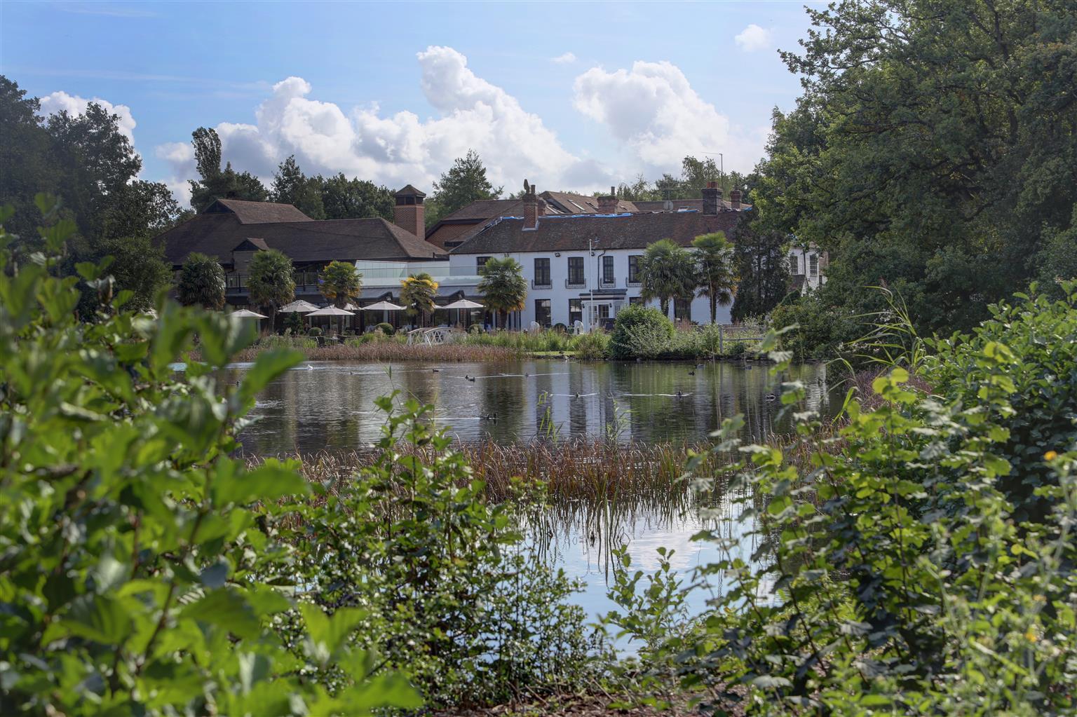 Frensham Pond Country House Hotel & Spa Farnham  Exteriör bild