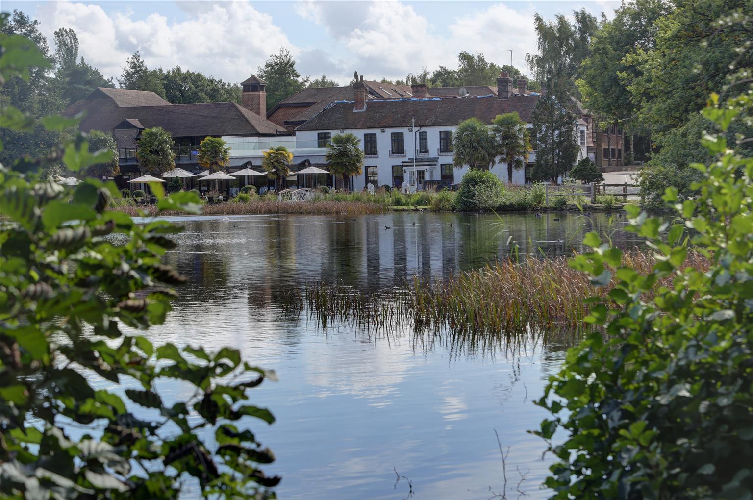 Frensham Pond Country House Hotel & Spa Farnham  Exteriör bild